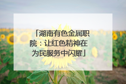 湖南有色金属职院：让红色精神在为民服务中闪耀