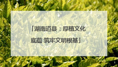 湖南道县：厚植文化底蕴 筑牢文明根基