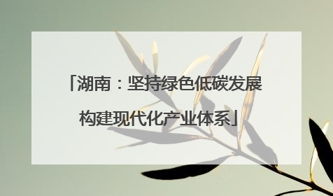 湖南：坚持绿色低碳发展 构建现代化产业体系