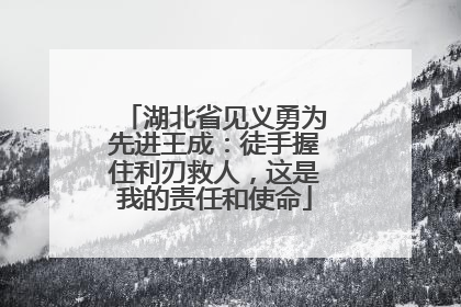 湖北省见义勇为先进王成：徒手握住利刃救人，这是我的责任和使命