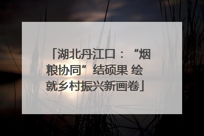 湖北丹江口：“烟粮协同”结硕果 绘就乡村振兴新画卷