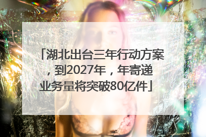 湖北出台三年行动方案，到2027年，年寄递业务量将突破80亿件
