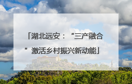 湖北远安：“三产融合”激活乡村振兴新动能