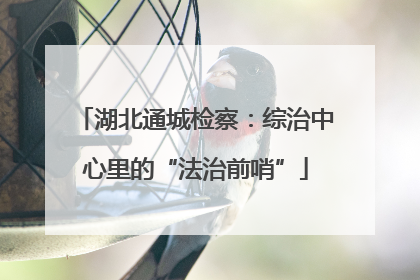 湖北通城检察：综治中心里的“法治前哨”