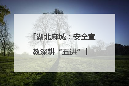 湖北麻城：安全宣教深耕“五进”