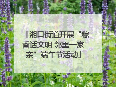 湘口街道开展“粽香话文明 邻里一家亲”端午节活动