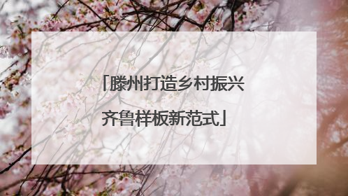 滕州打造乡村振兴齐鲁样板新范式
