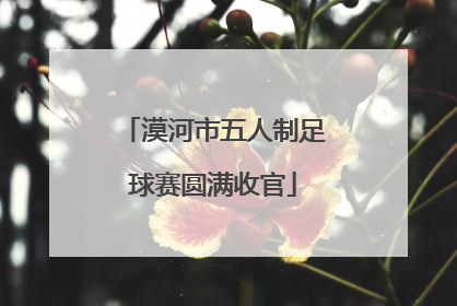 漠河市五人制足球赛圆满收官