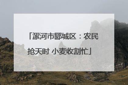 漯河市郾城区：农民抢天时 小麦收割忙