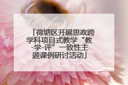 荷塘区开展思政跨学科项目式教学“教-学-评”一致性主题课例研讨活动