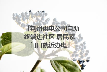 荆州供电公司自助终端进社区 居民家门口就近办电