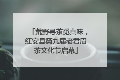 荒野寻茶觅真味，红安县第九届老君眉茶文化节启幕