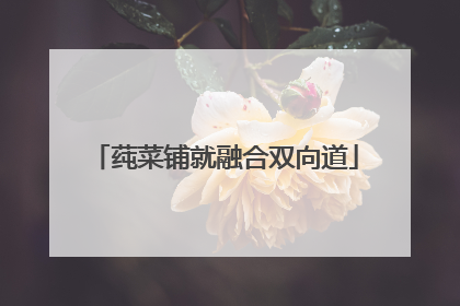 莼菜铺就融合双向道
