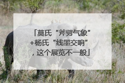 莫氏“斧劈气象”+杨氏“线墨交响”，这个展览不一般