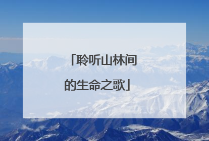 聆听山林间的生命之歌
