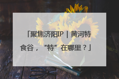 聚焦济阳IP｜黄河特食谷，“特”在哪里？