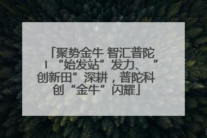 聚势金牛 智汇普陀〡“始发站”发力、“创新田”深耕，普陀科创“金牛”闪耀