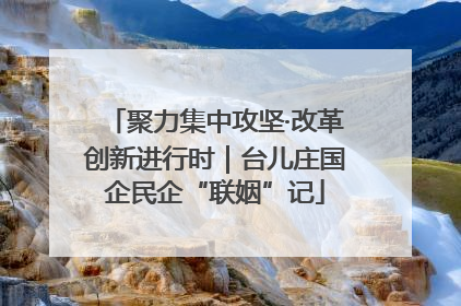 聚力集中攻坚·改革创新进行时｜台儿庄国企民企“联姻”记