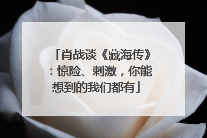 肖战谈《藏海传》：惊险、刺激，你能想到的我们都有