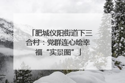 肥城仪阳街道下三合村：党群连心绘幸福“实景图”