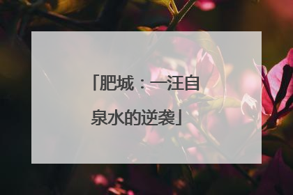肥城：一汪自泉水的逆袭