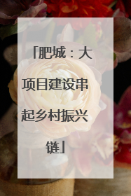 肥城：大项目建设串起乡村振兴链