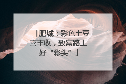 肥城：彩色土豆喜丰收，致富路上好“彩头”