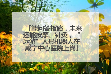 能问答指路，未来还能按摩、针灸，“远游”人形机器人在咸宁中心医院上岗
