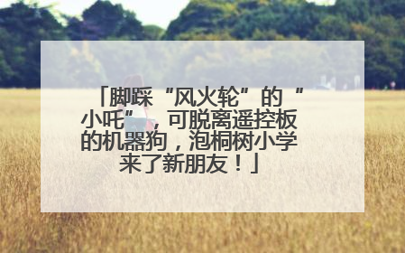 脚踩“风火轮”的“小吒”，可脱离遥控板的机器狗，泡桐树小学来了新朋友！