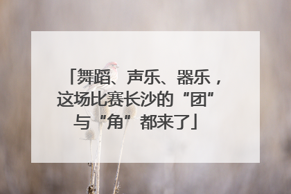 舞蹈、声乐、器乐，这场比赛长沙的“团”与“角”都来了