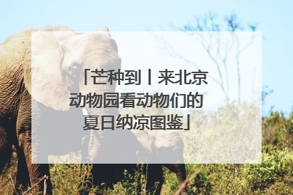 芒种到丨来北京动物园看动物们的夏日纳凉图鉴