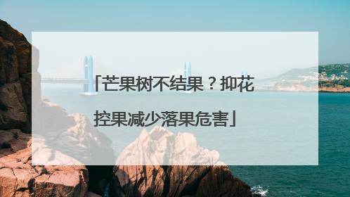 芒果树不结果？抑花控果减少落果危害