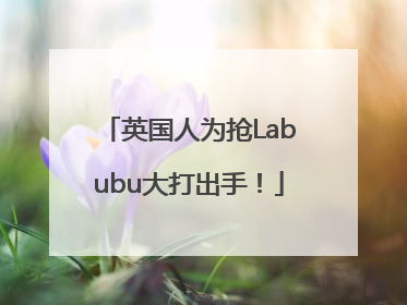 英国人为抢Labubu大打出手！