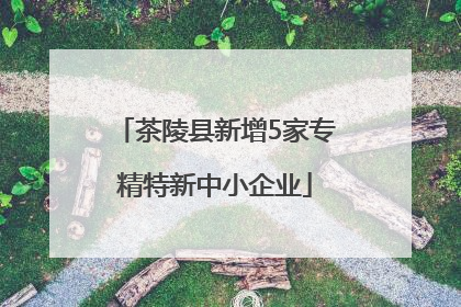 茶陵县新增5家专精特新中小企业