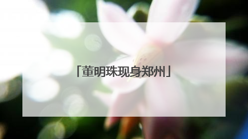董明珠现身郑州
