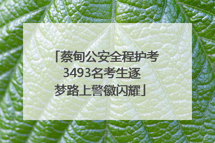 蔡甸公安全程护考 3493名考生逐梦路上警徽闪耀
