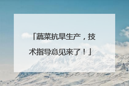 蔬菜抗旱生产，技术指导意见来了！