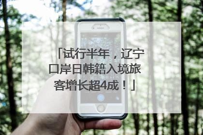 试行半年，辽宁口岸日韩籍入境旅客增长超4成！