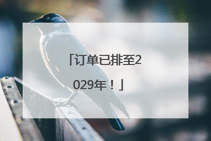 订单已排至2029年！