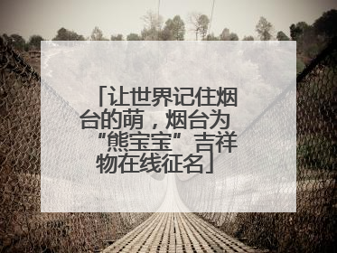 让世界记住烟台的萌，烟台为“熊宝宝”吉祥物在线征名