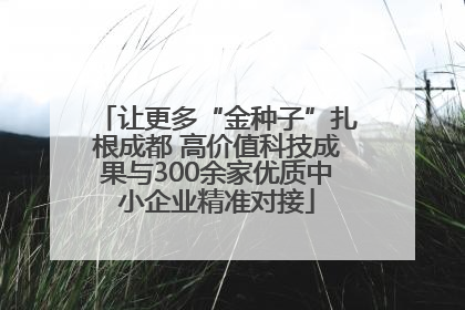 让更多“金种子”扎根成都 高价值科技成果与300余家优质中小企业精准对接