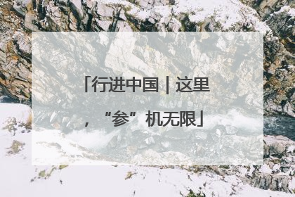 行进中国｜这里，“参”机无限