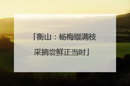 衡山：杨梅缀满枝 采摘尝鲜正当时