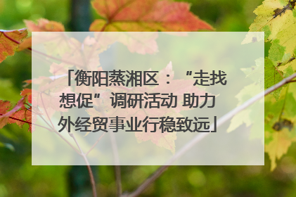 衡阳蒸湘区：“走找想促”调研活动 助力外经贸事业行稳致远