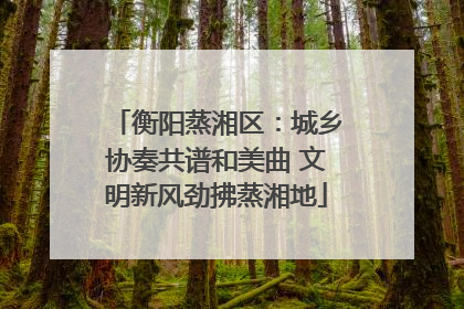 衡阳蒸湘区：城乡协奏共谱和美曲 文明新风劲拂蒸湘地