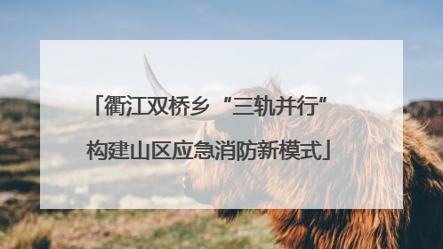 衢江双桥乡“三轨并行” 构建山区应急消防新模式