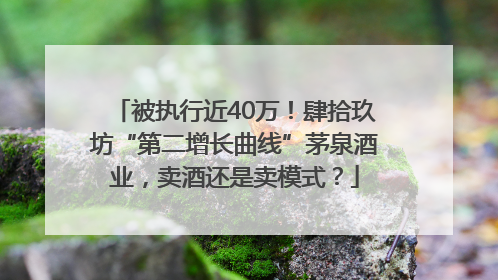 被执行近40万！肆拾玖坊“第二增长曲线”茅泉酒业，卖酒还是卖模式？