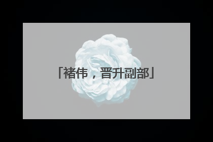 褚伟，晋升副部