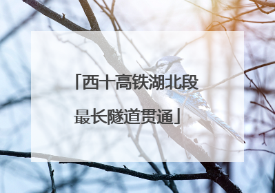 西十高铁湖北段最长隧道贯通