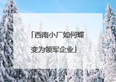 西南小厂如何蝶变为领军企业